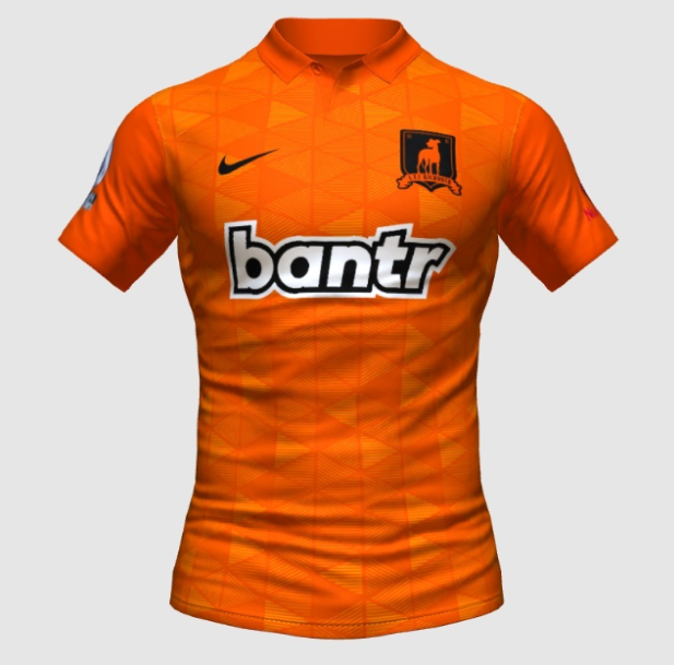 Team Shirt (Without Name or #)